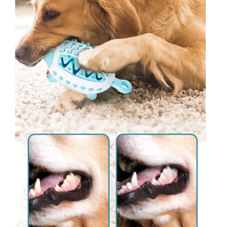 Treat Dispensing chien Ball jouet pour Chewing, dressage et soin dentaire