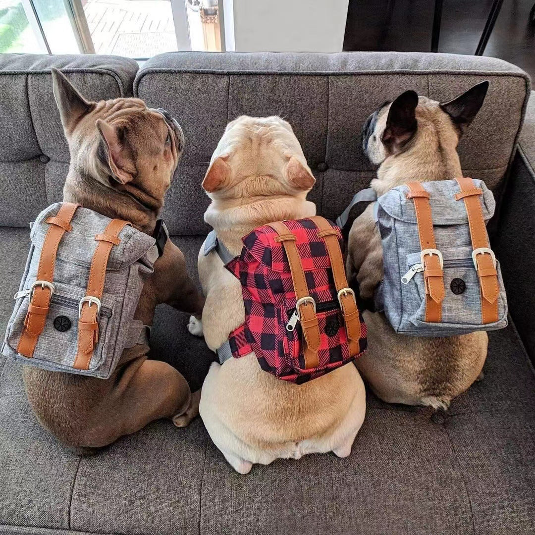 Pet Backpack with Adjustable Straps for Small Dogs and Cats