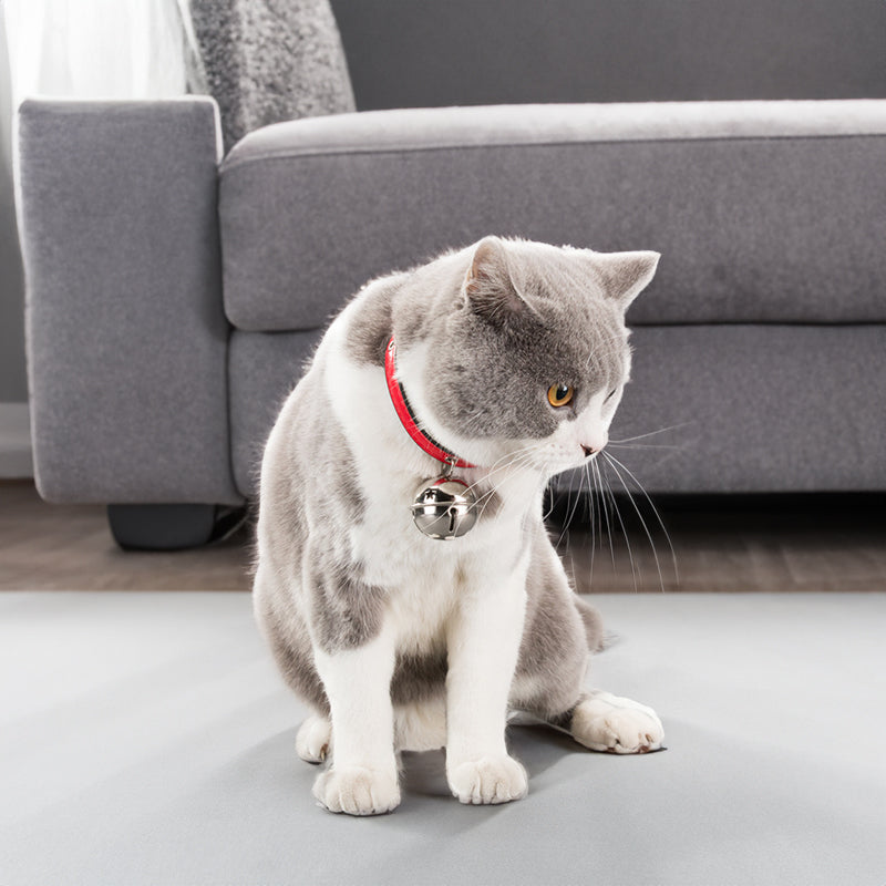 Bone and Paw Print Alloy Bells for Dog and Cat Collars