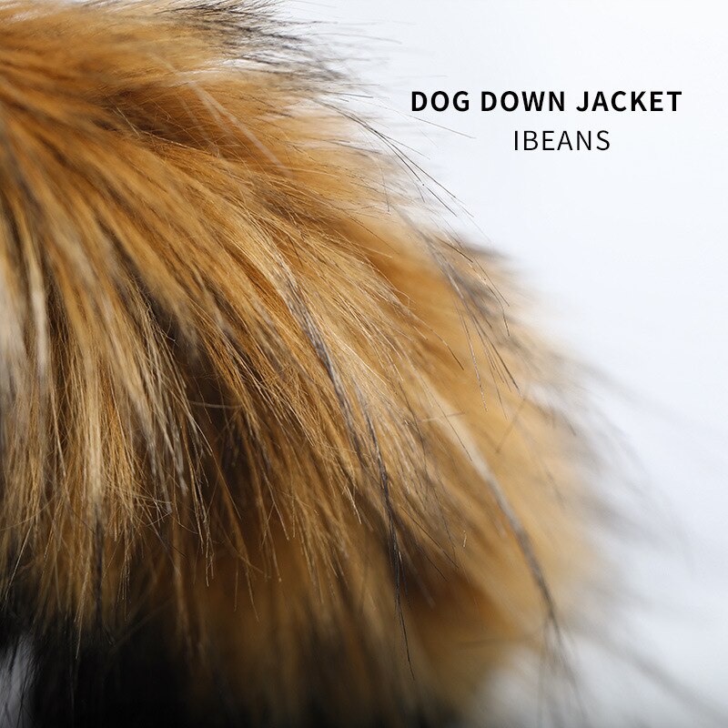Warm Duck Down Dog Jacket with Hood for Small and Medium Dogs