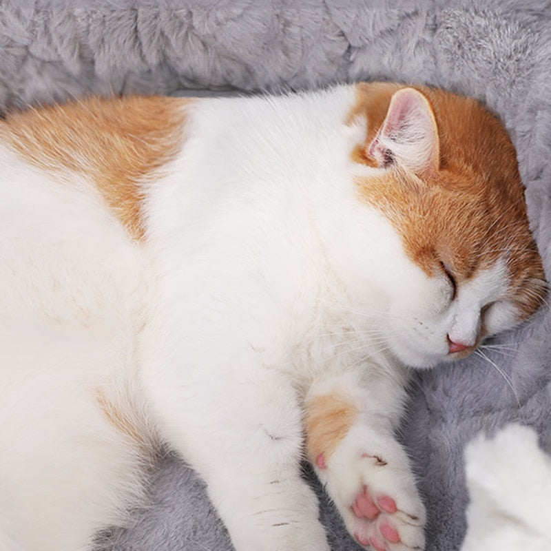 Soft Plush Pet Bed with Cushion for Cats and Small Dogs, Warm Winter Nest