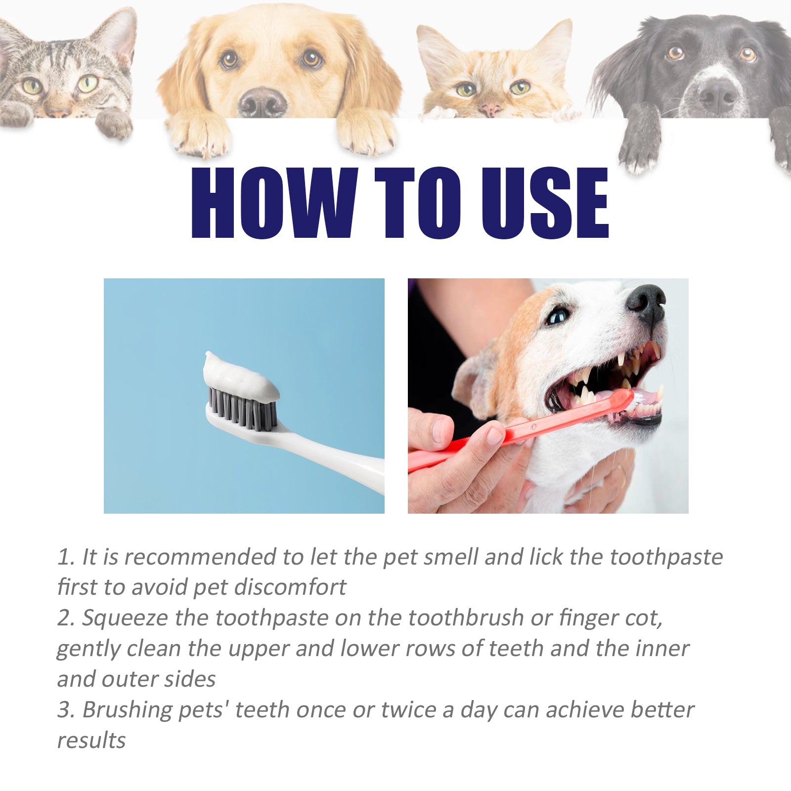 Pet V34 Toothpaste for Dogs and Cats, Dental Care for Breath, Gums and Tartar