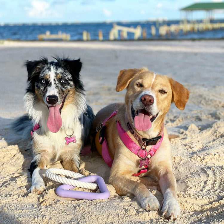 TPR Triangle Tug Toy for Dogs, Interactive Chew and Training Toy