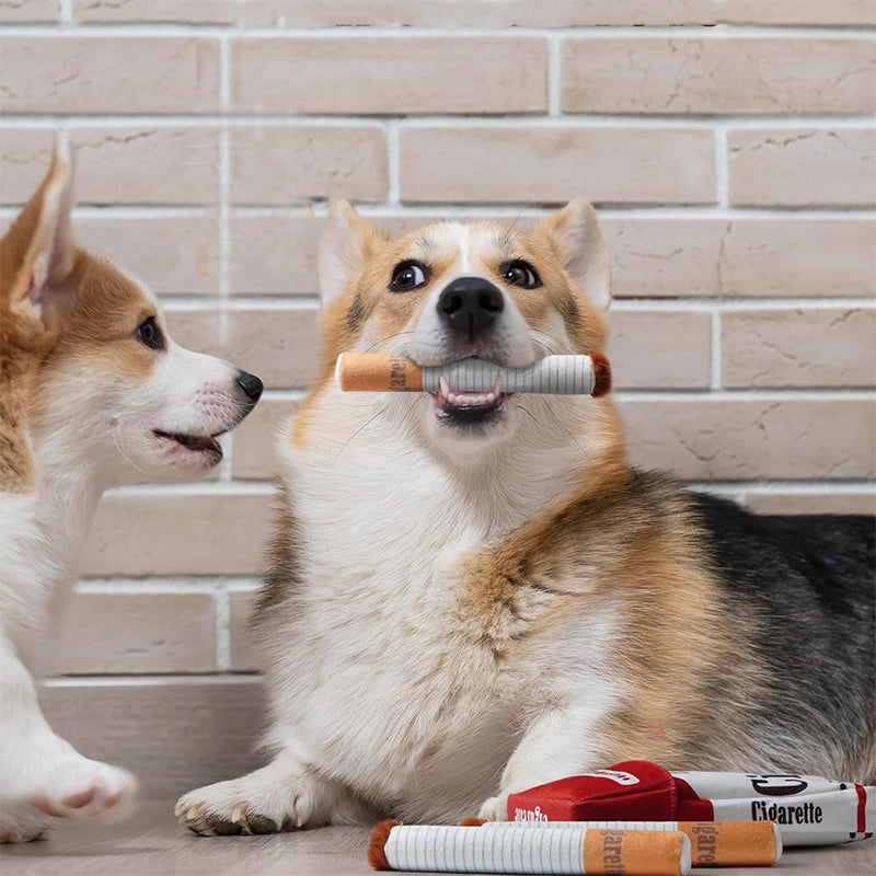 Cigar-Shaped Plush Dog Toy for Chewing, Teething and Interactive Play