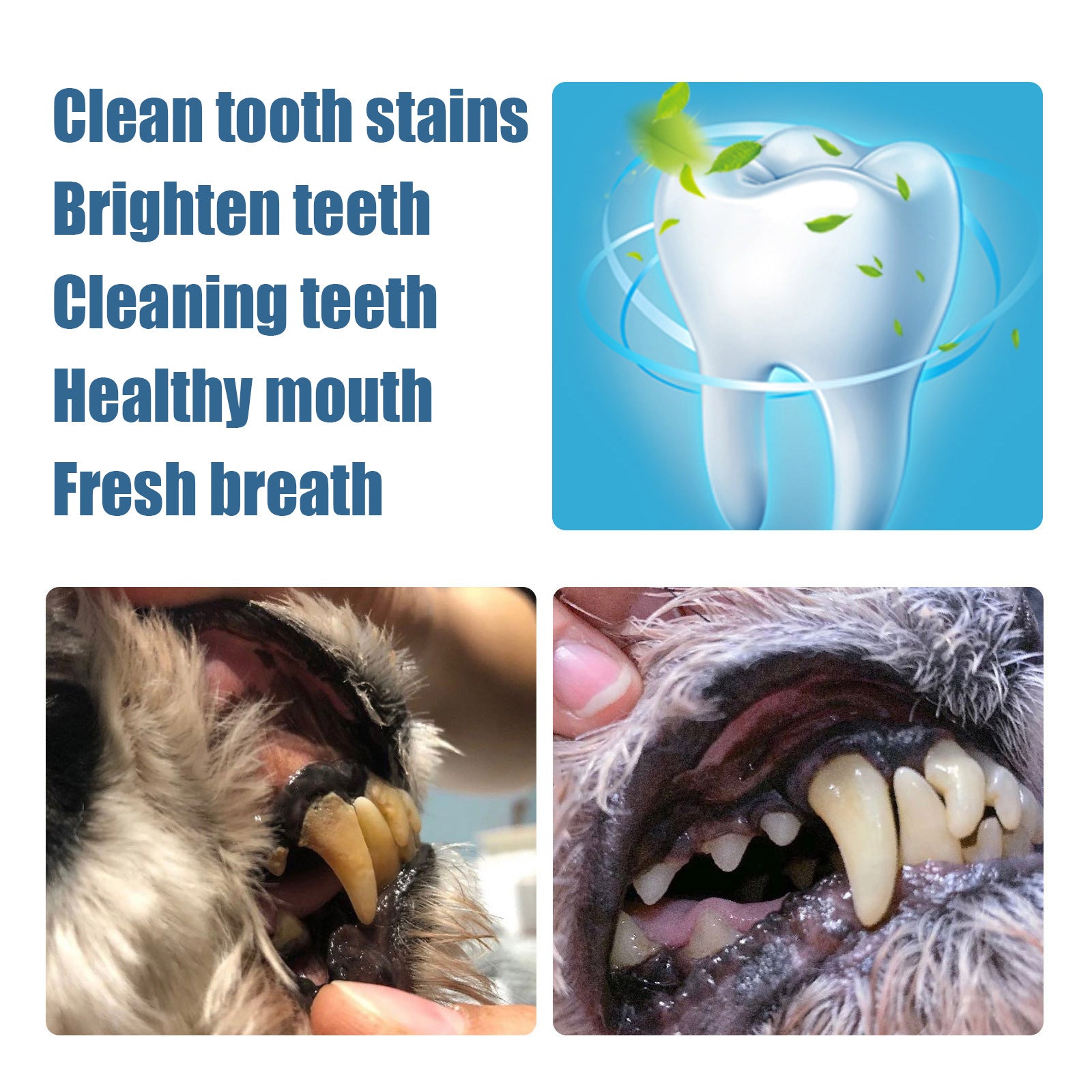 Pet Tooth Cleaning Pen for Dogs and Cats, Dental Care Tool for Tartar and Plaque
