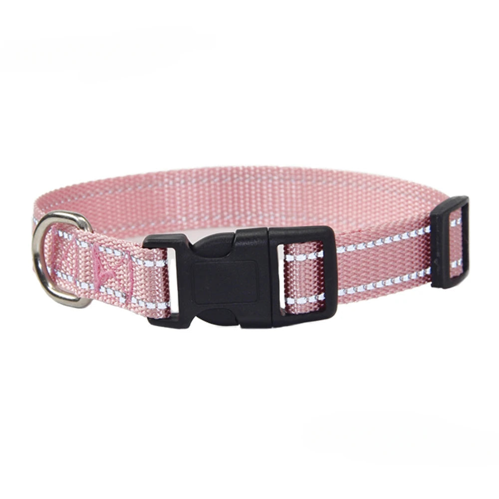 Conjunto de Trela e Coleira de Nylon para Cães Pequenos, Médios e Grandes