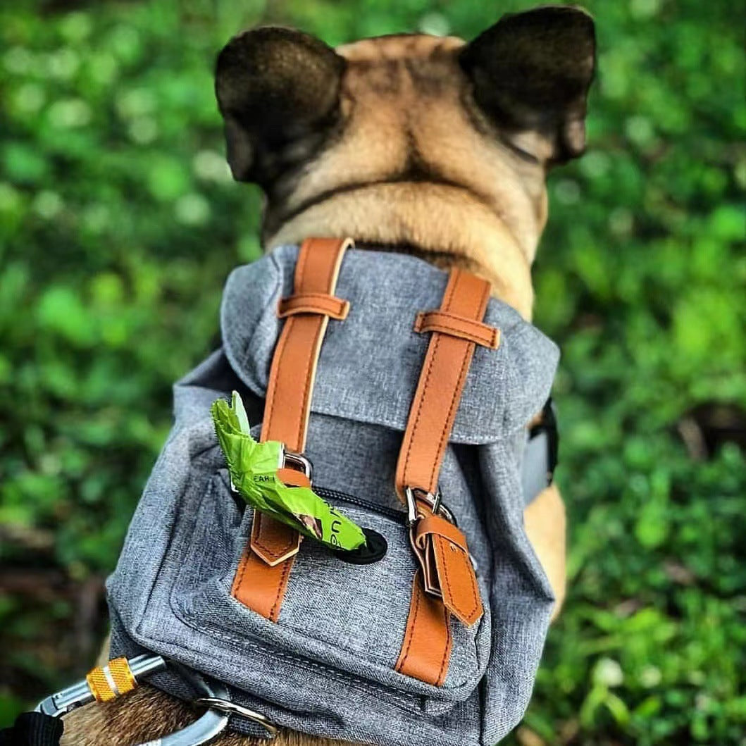 Pet Backpack with Adjustable Straps for Small Dogs and Cats