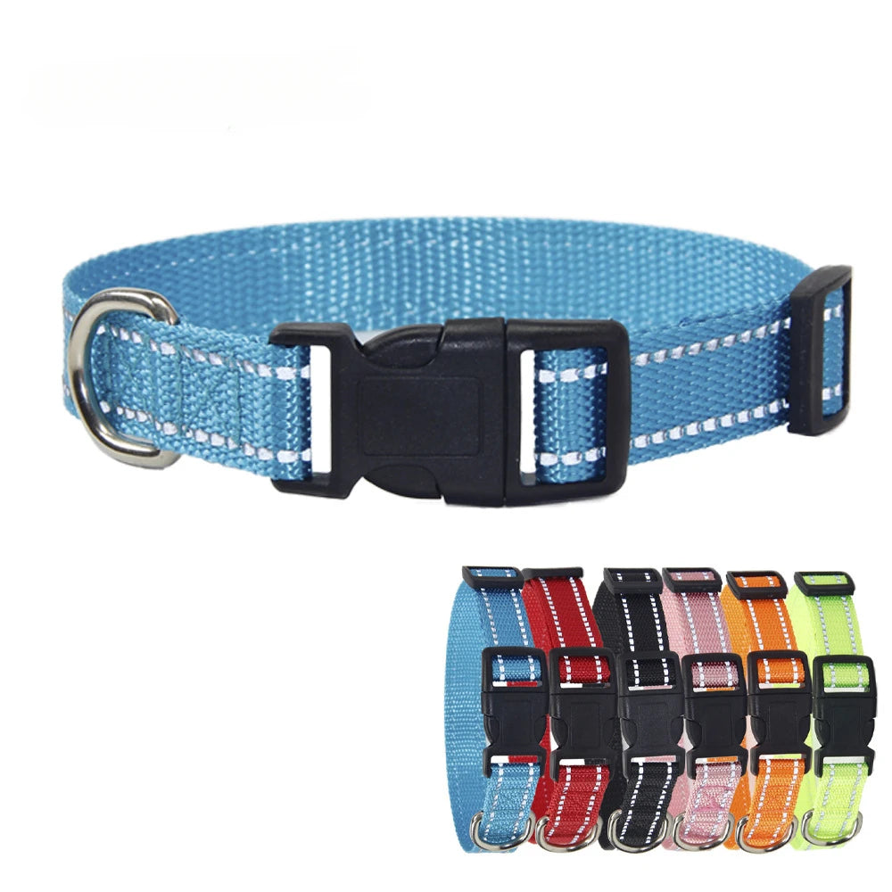 Conjunto de Trela e Coleira de Nylon para Cães Pequenos, Médios e Grandes