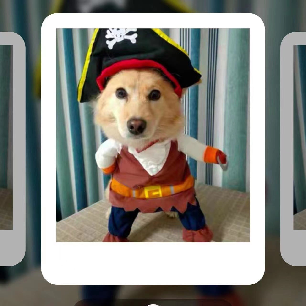 Pirate Pet Costume for Dogs and Cats, Funny Two-Legged Cosplay Outfit