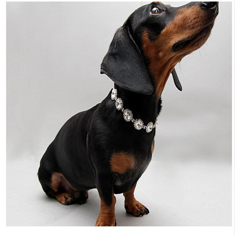 Pearl Pet Collar Necklace for Cats and Small Dogs, Cute Jewelry Style Collar