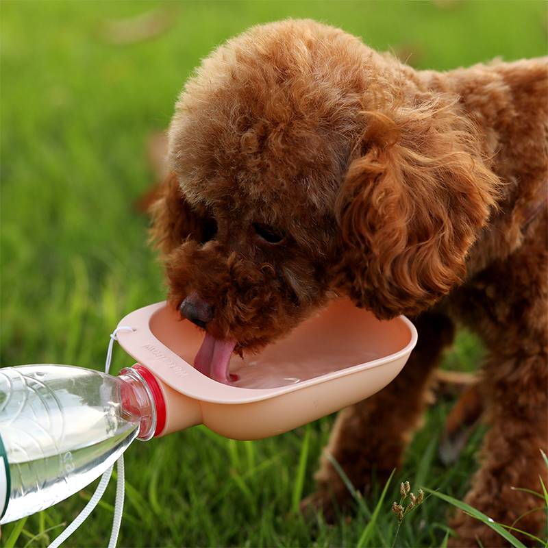 Portable chien Water Bottle avec hydratation gamelle pour voyage et d’extérieur Use