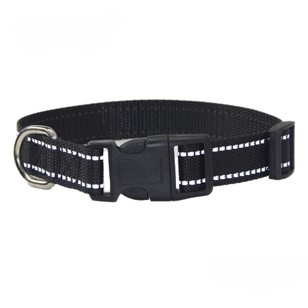 Conjunto de Trela e Coleira de Nylon para Cães Pequenos, Médios e Grandes