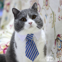 Formal Pet Bow Tie Collar for Dogs and Cats, Stylish Costume Accessory