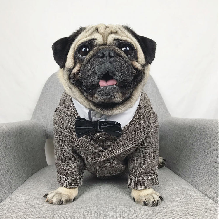 Formal Pet Tuxedo Suit for Small Dogs and Cats, Wedding Party Outfit
