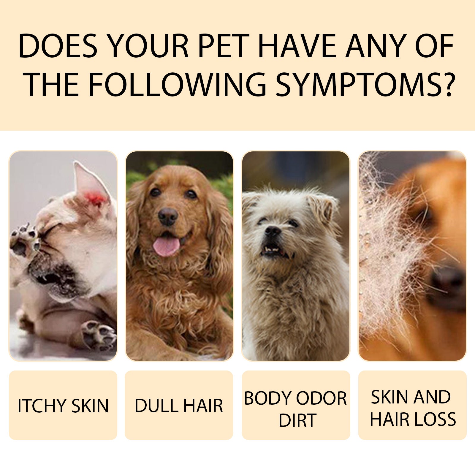 Gentle Pet Shampoo for Dogs and Cats, Smoothing Coat Wash for Soft Tangle-Free Fur
