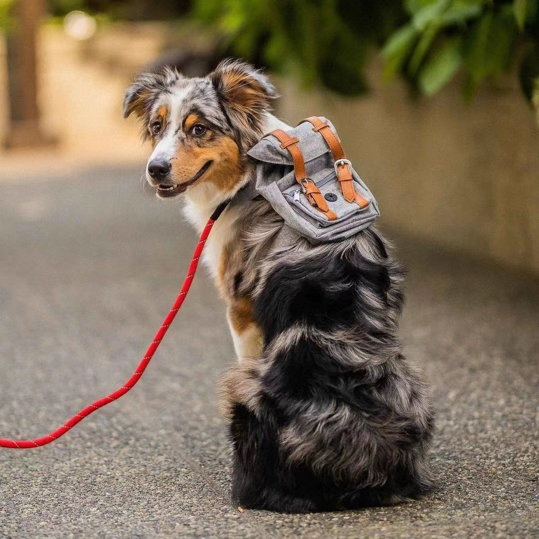 Pet Backpack with Adjustable Straps for Small Dogs and Cats