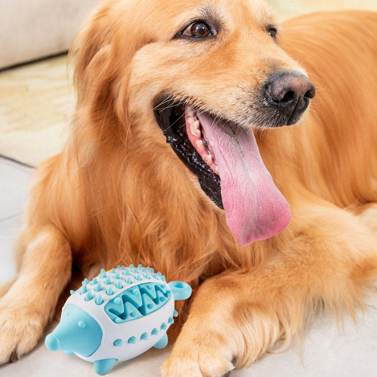 Treat Dispensing chien Ball jouet pour Chewing, dressage et soin dentaire