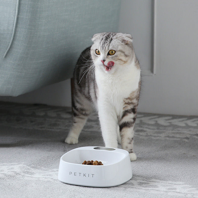 PETKIT Smart Digital Pet Food Bowl with Weighing Stand for Dogs