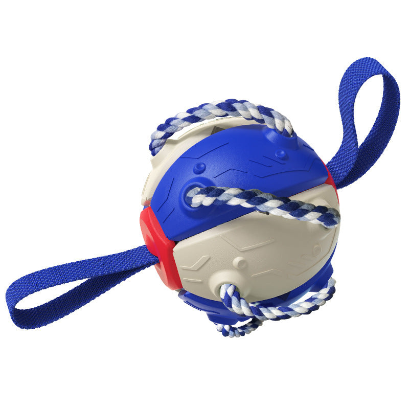 Interactive Dog Flying Disc Toy for Outdoor Fetch and Training