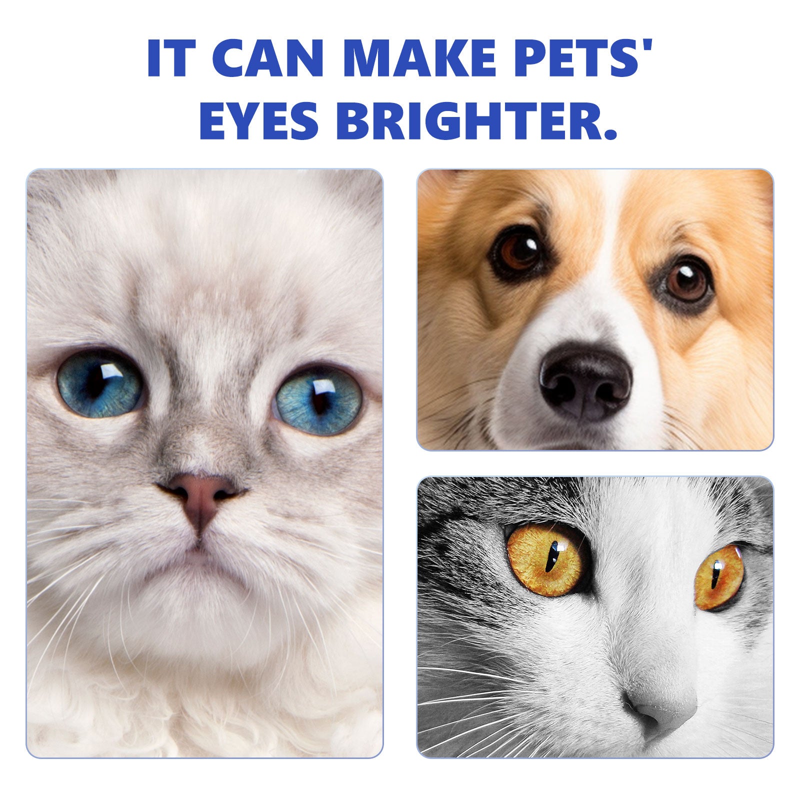 Pet Eye Cleaning Drops for Dogs and Cats, Gentle Eye Wash for Tear Stain Care
