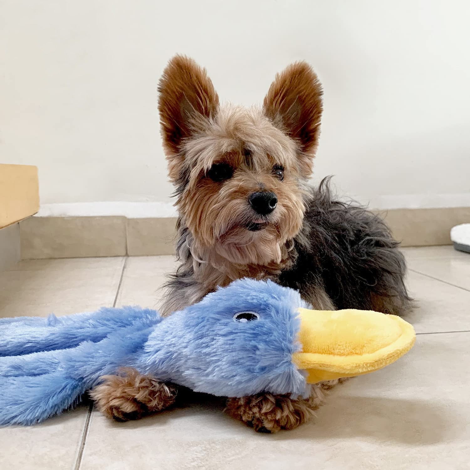 Stuffless Plush Duck Dog Toy with Squeaker for Chewing and Play