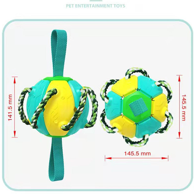 Interactive Dog Flying Disc Toy for Outdoor Fetch and Training