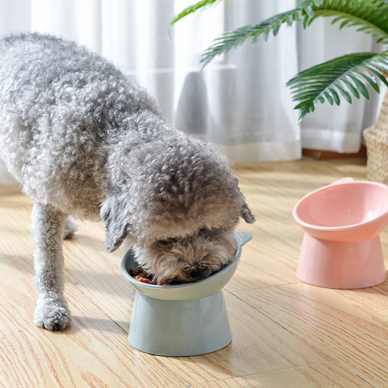 Raised Slanted chat gamelle pour Food et Water, Neck-Friendly animal repas Dish