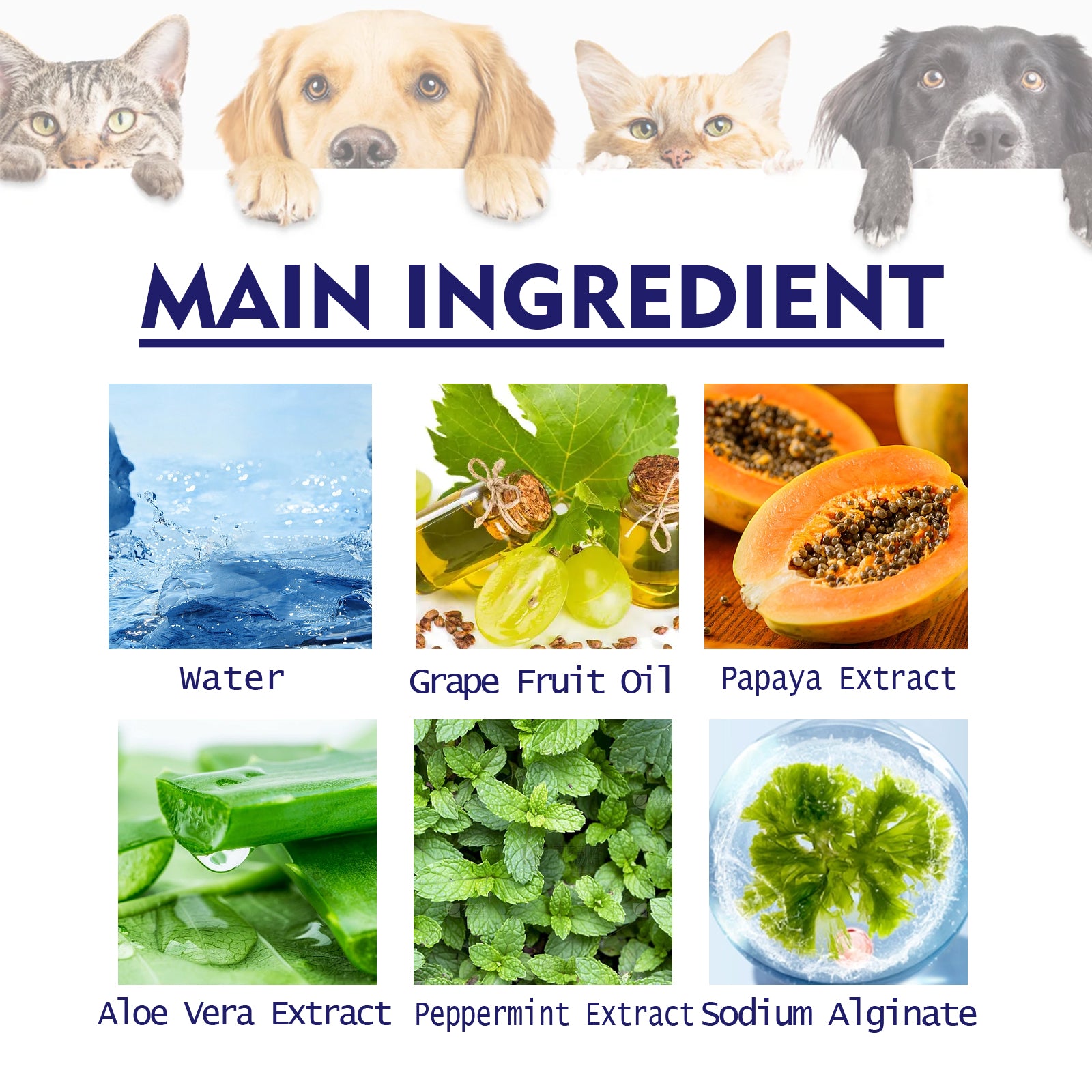 Pet V34 Toothpaste for Dogs and Cats, Dental Care for Breath, Gums and Tartar