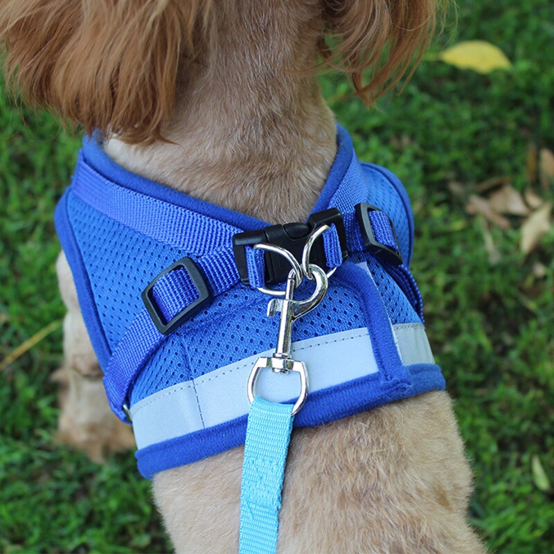 Reflective Dog Harness and Leash Set for Small and Medium Pets