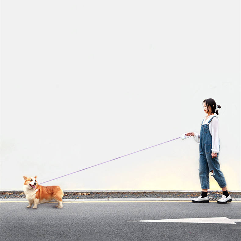 Glowing Retractable chien laisse, Light-Up animal Walking Lead
