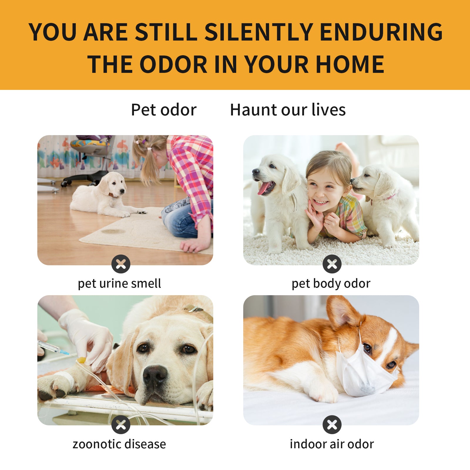 Pet Fabric Deodorizer Spray, Long-Lasting Freshener for Indoor Pet Odors