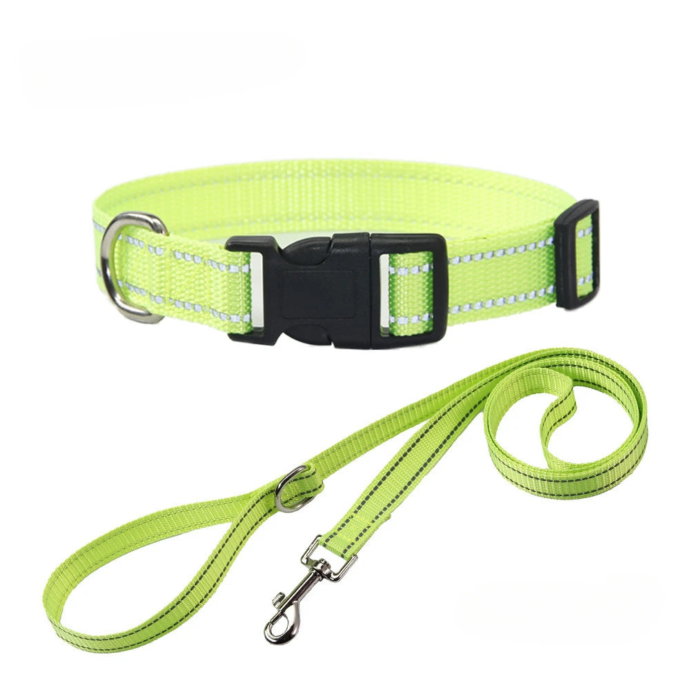 Conjunto de Trela e Coleira de Nylon para Cães Pequenos, Médios e Grandes