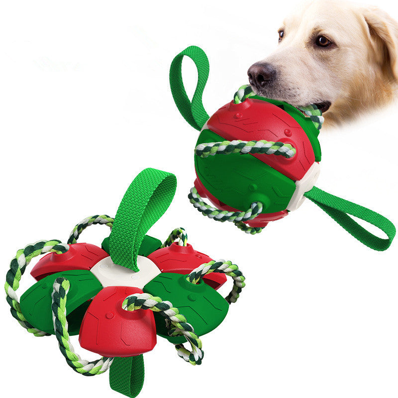 Interactive Dog Flying Disc Toy for Outdoor Fetch and Training
