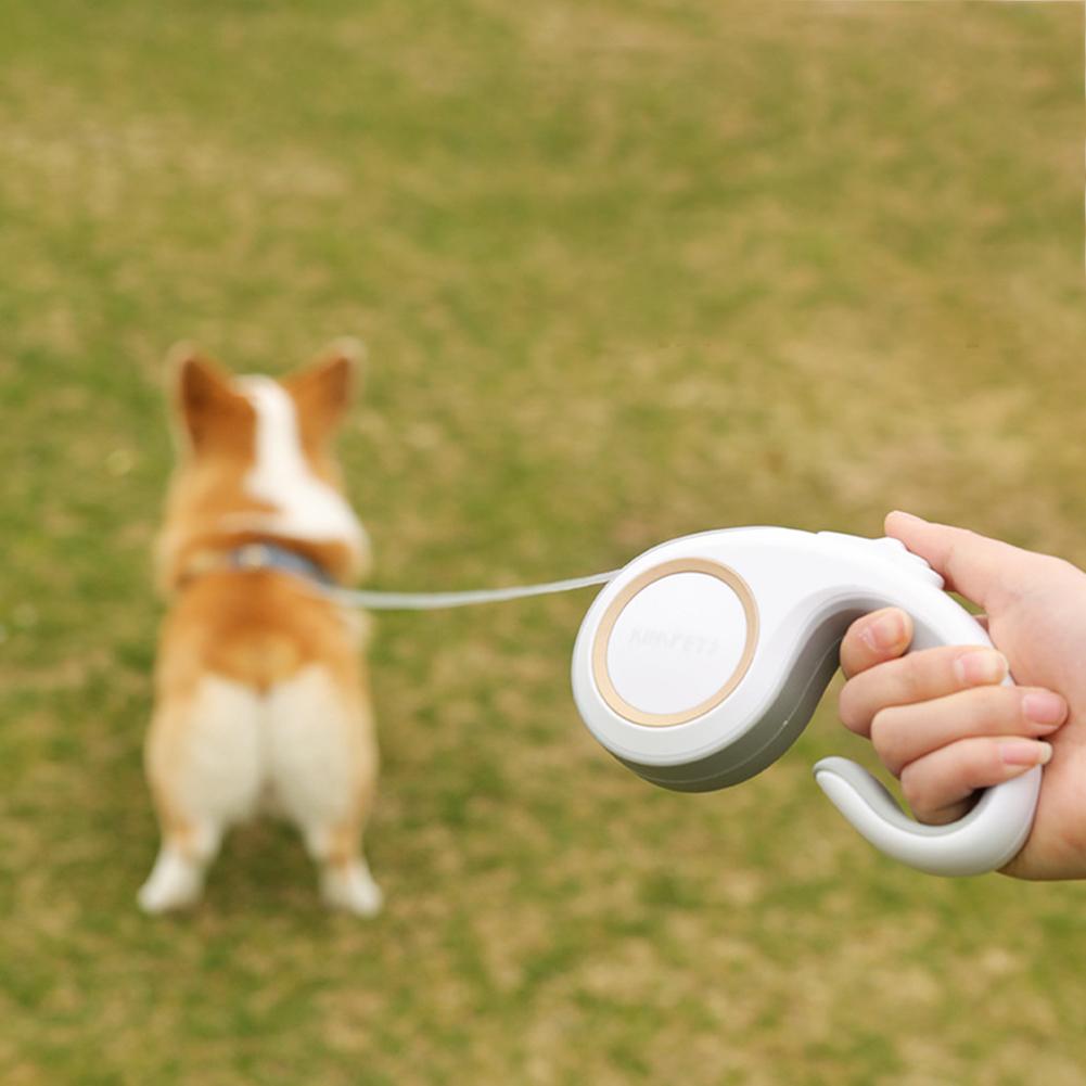 3m Automatic Retractable Dog and Cat Leash, Pet Walking Traction Lead