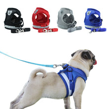 Reflective Dog Harness and Leash Set for Small and Medium Pets