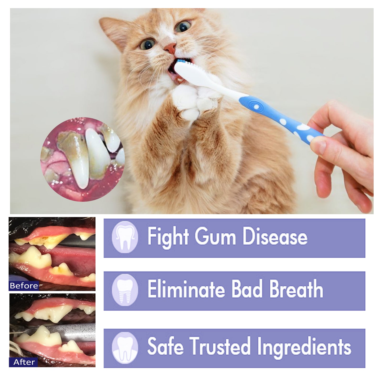 Pet V34 Toothpaste for Dogs and Cats, Dental Care for Breath, Gums and Tartar