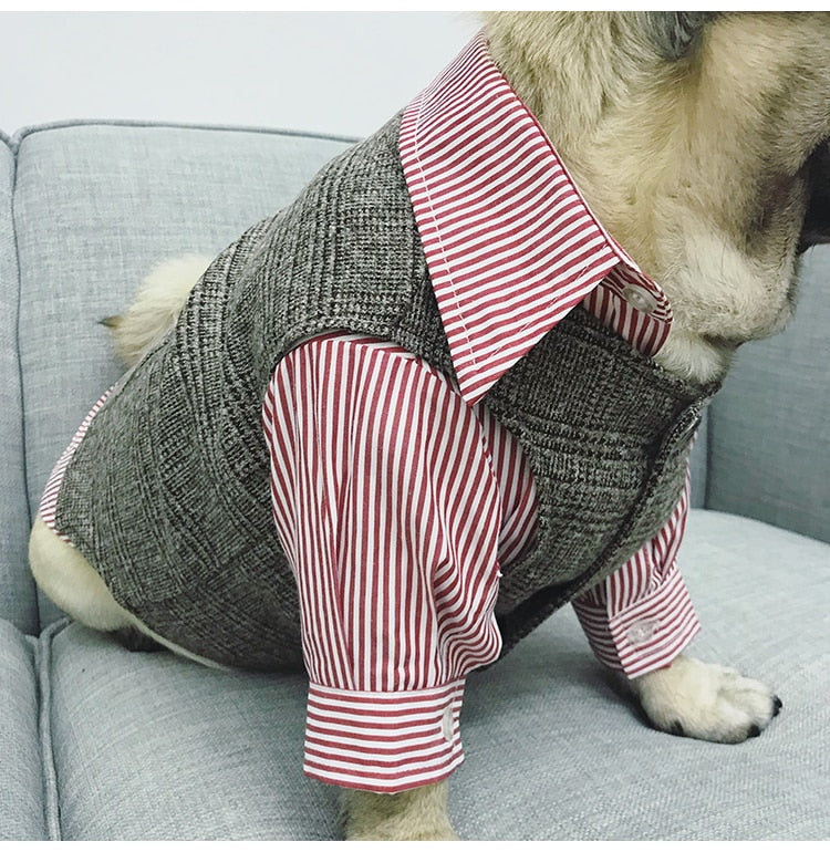 Formal animal Tuxedo Suit pour Small chiens et chats, Wedding Party Outfit