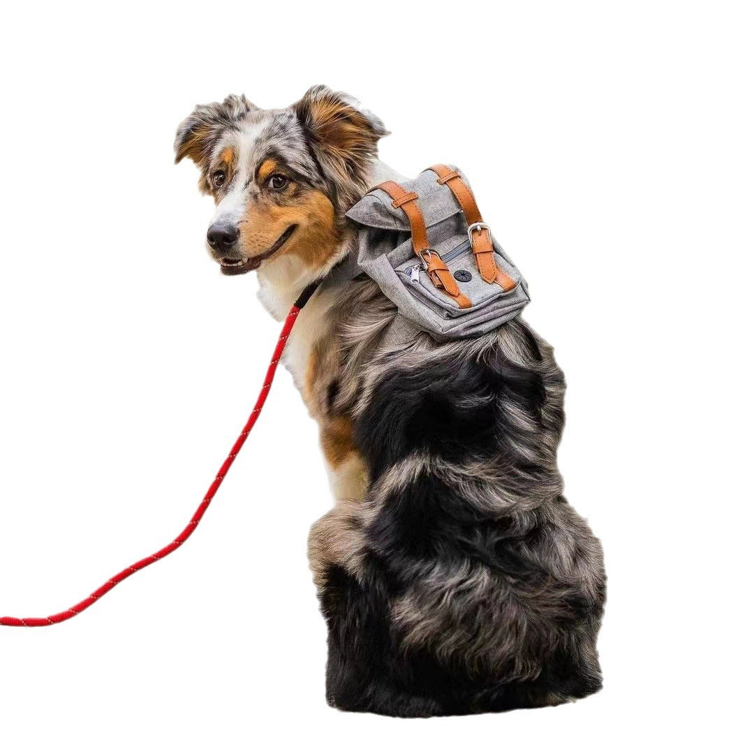 Pet Backpack with Adjustable Straps for Small Dogs and Cats