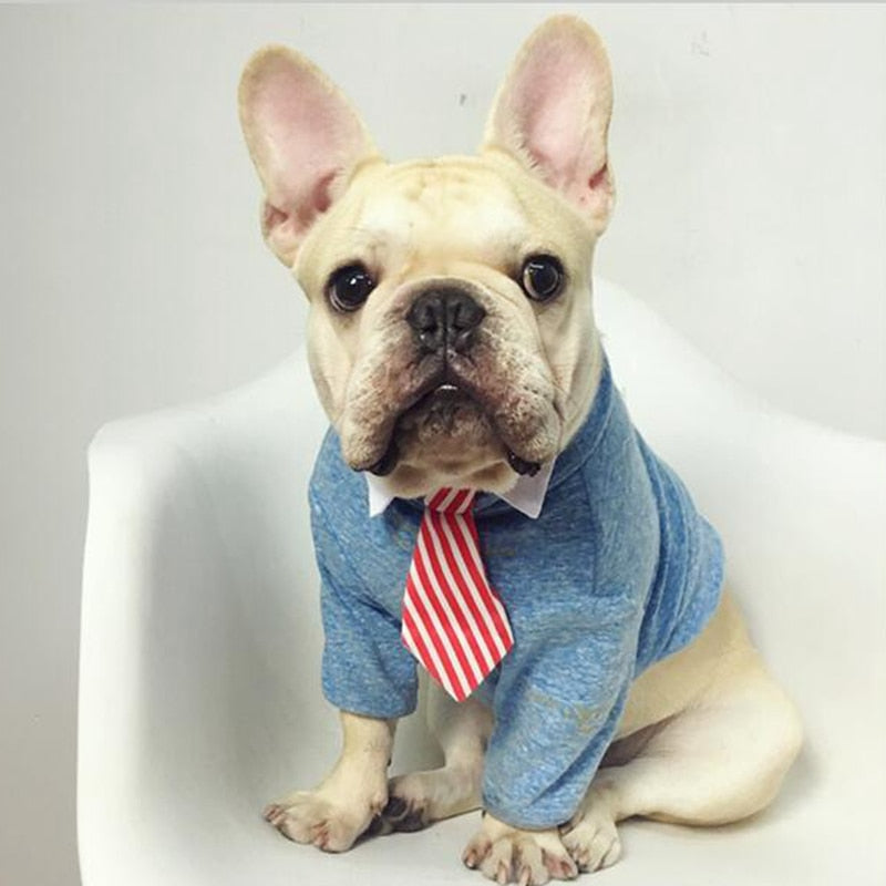 Formal Pet Bow Tie Collar for Dogs and Cats, Stylish Costume Accessory