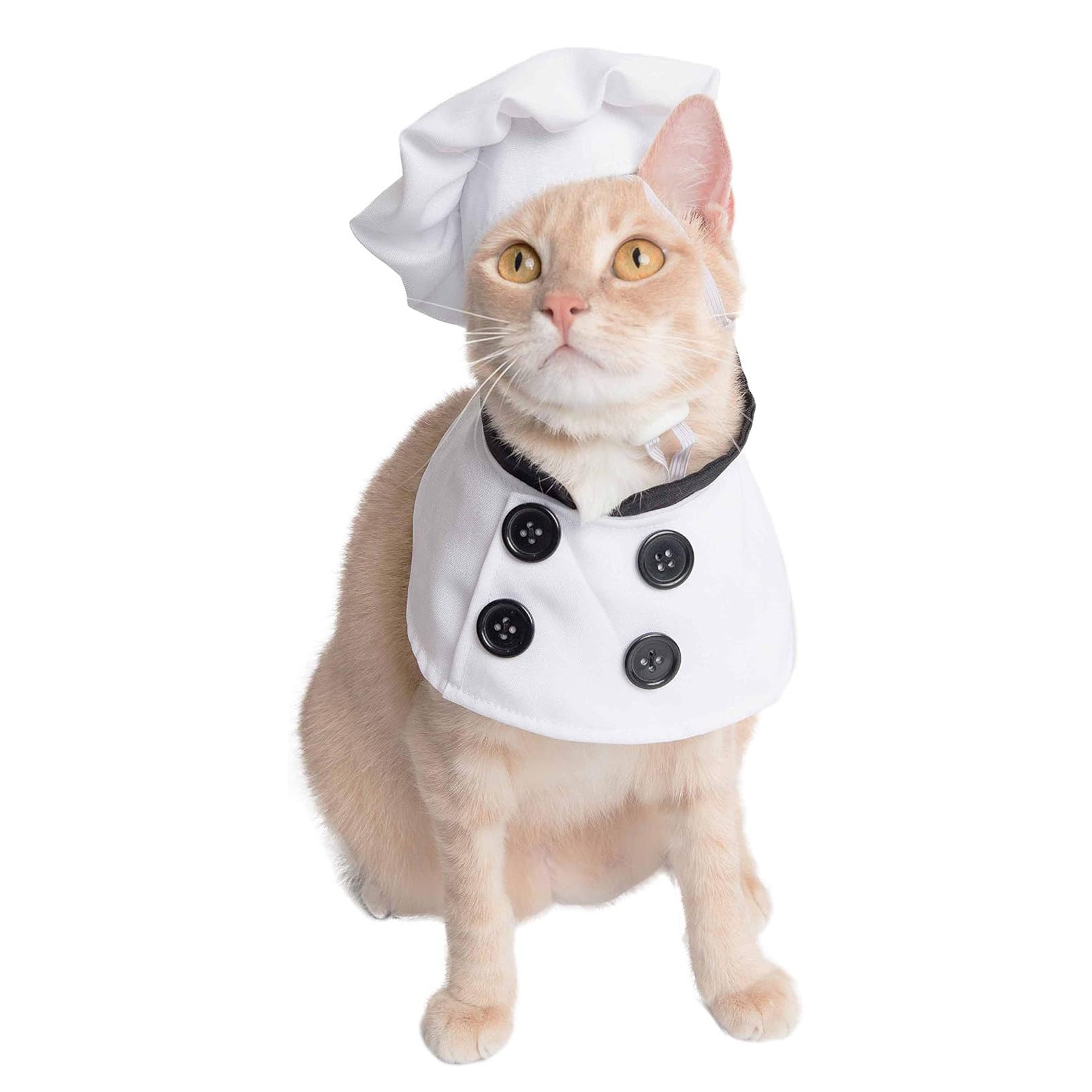 Dog Chef Costume with Hat, Funny Pet Cosplay Outfit