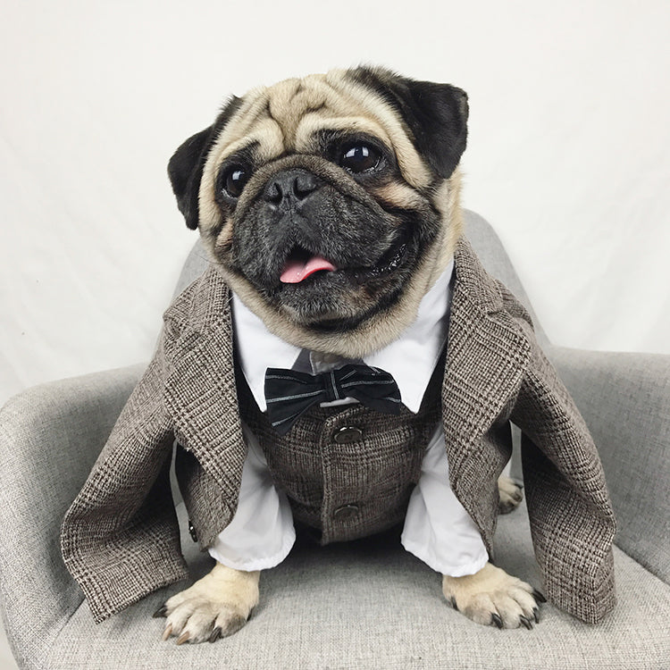 Formal animal Tuxedo Suit pour Small chiens et chats, Wedding Party Outfit