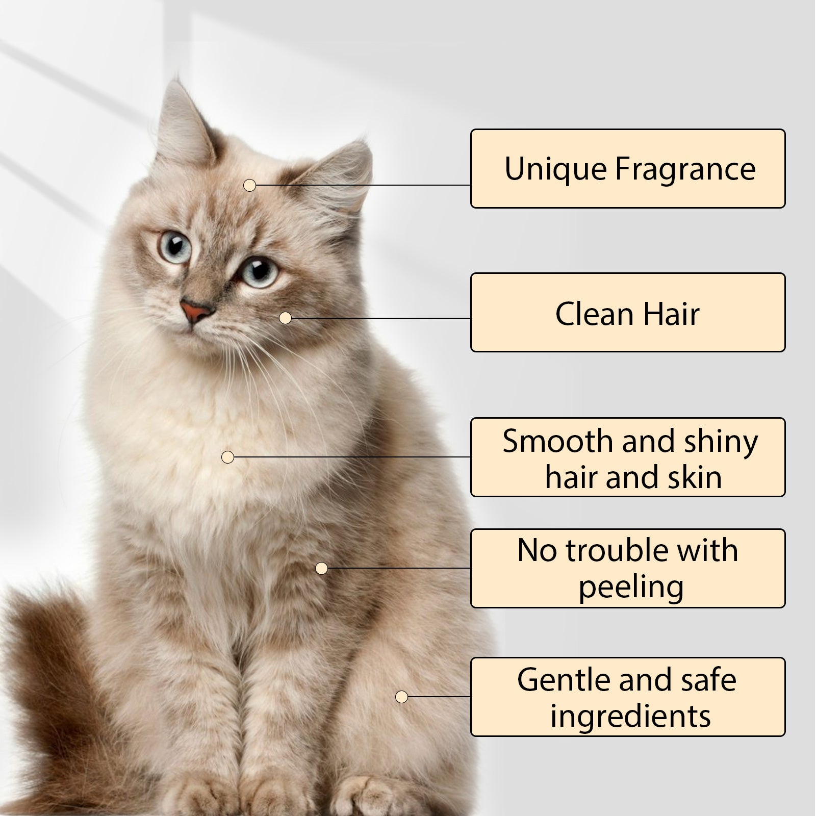 Gentle Pet Shampoo for Dogs and Cats, Smoothing Coat Wash for Soft Tangle-Free Fur