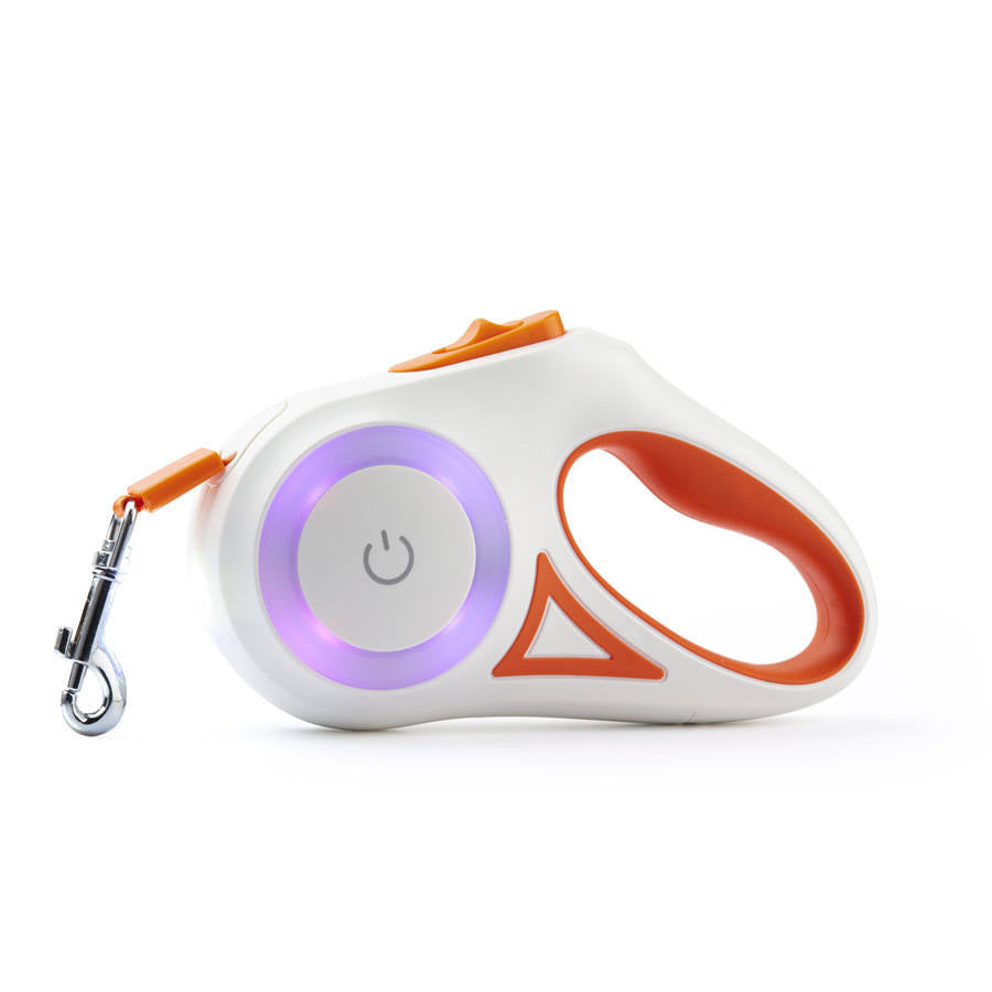 Glowing Retractable chien laisse, Light-Up animal Walking Lead