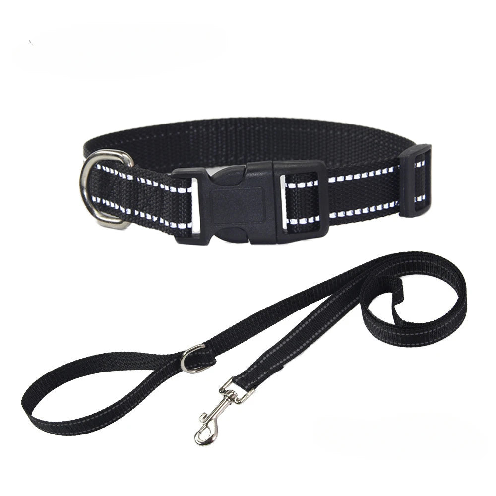 Conjunto de Trela e Coleira de Nylon para Cães Pequenos, Médios e Grandes