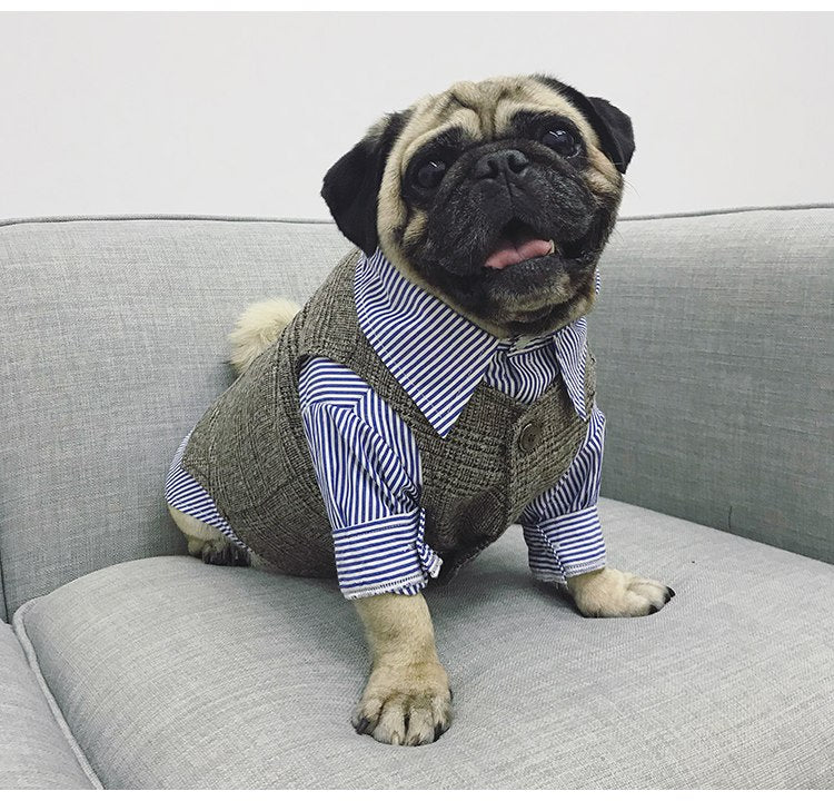 Formal animal Tuxedo Suit pour Small chiens et chats, Wedding Party Outfit