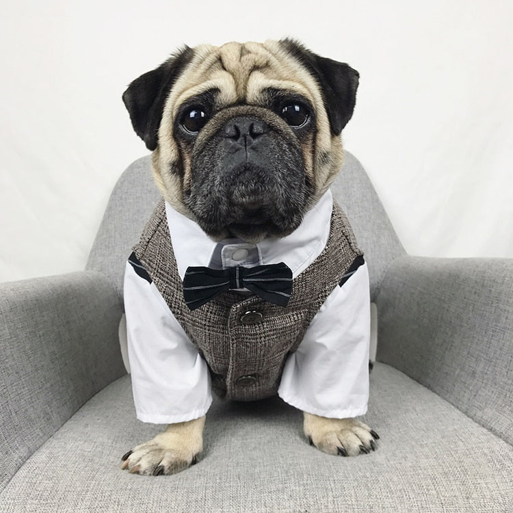 Formal animal Tuxedo Suit pour Small chiens et chats, Wedding Party Outfit