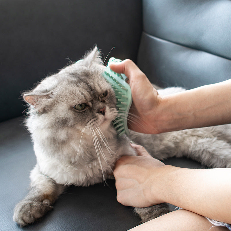 Cat Corner Grooming Brush and Self-Massage Toy for Wall Corners