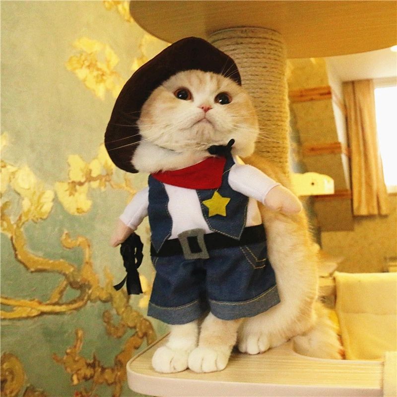 Cowboy Pet Costume for Dogs and Cats, Funny Role Play Outfit