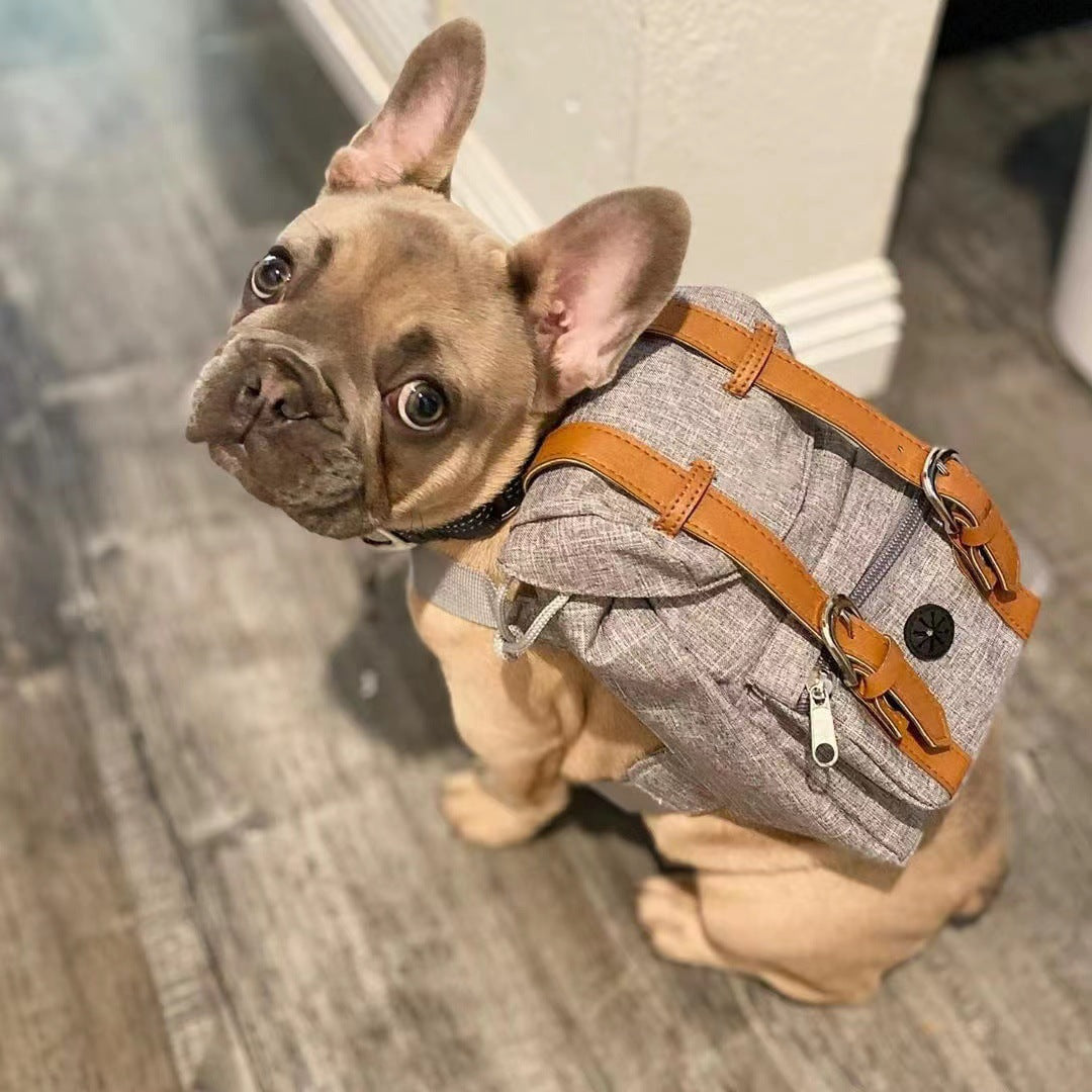 Pet Backpack with Adjustable Straps for Small Dogs and Cats