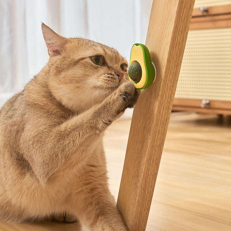 Rotating Catnip Ball Toy with Avocado Design for Cats